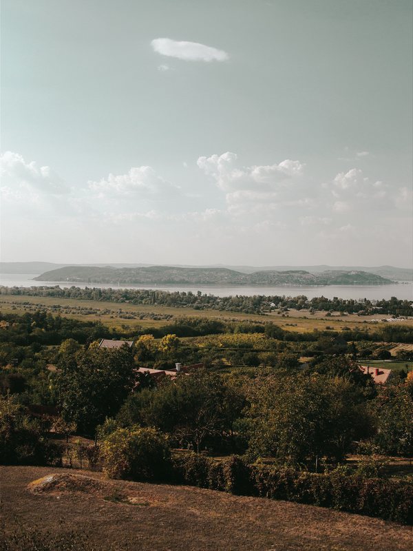 Landscape sample